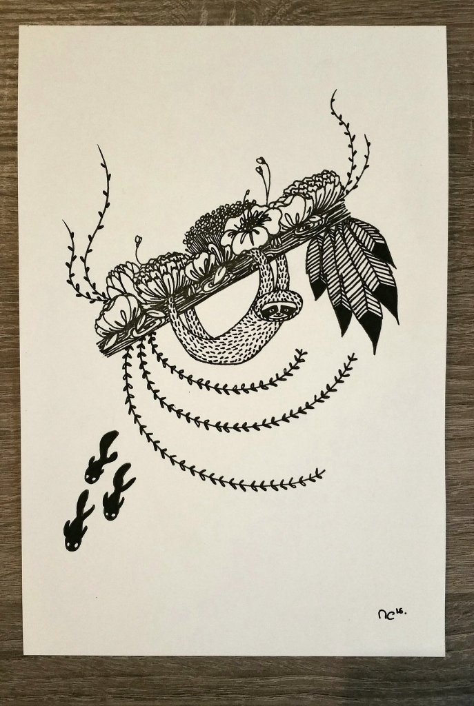 14352094_687584344737169_8491524214452407480_o